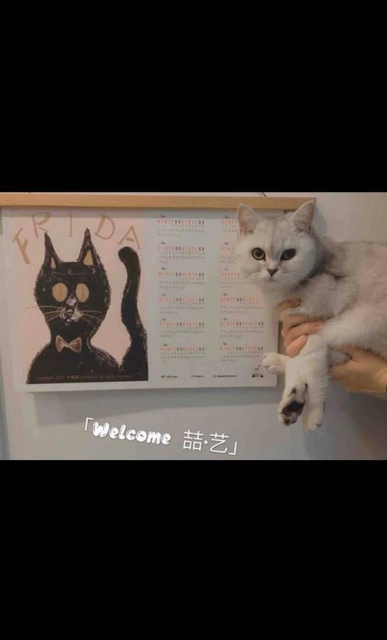 喆·艺精品民宿 北京 外观 照片